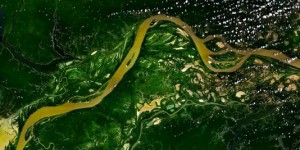 L’Amazonie fertilisée par… la poussière du Sahara