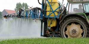 Pesticides toxiques : annulation de la condamnation de l'Etat à indemniser un agriculteur
