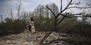 Le feu de forêt près de la centrale de Tchernobyl a été éteint