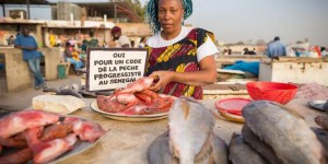 Razzia chinoise dans les zones de pêche africaines