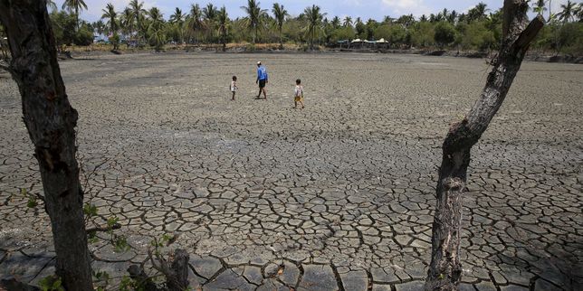 El Niño de retour après cinq ans d’absence
