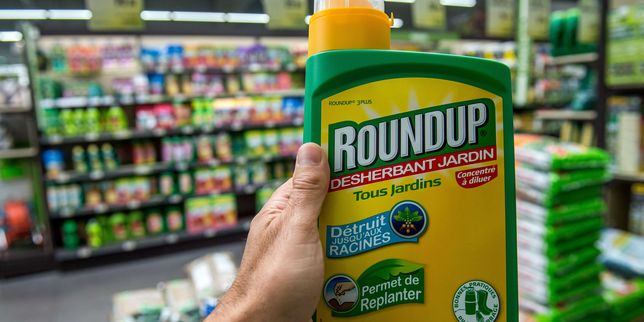 Pesticides : le Roundup ne serait plus en vente libre dès le 1er janvier 2016