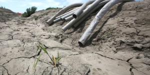 Sécheresse en Californie : nouvelles restrictions d’eau pour les agriculteurs