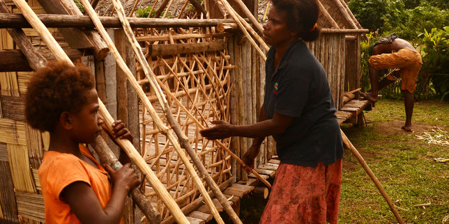 Vanuatu face au défi de la sécurité alimentaire