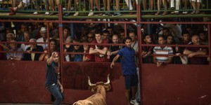 En Espagne, la gauche radicale veut mettre à mort les corridas