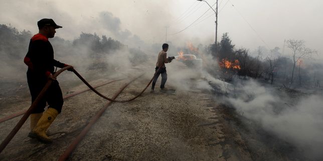 Les Indonésiens luttent contre les incendies qui asphyxient leur pays