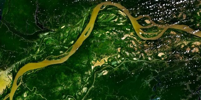 Quelles politiques publiques pour sauver la forêt amazonienne?