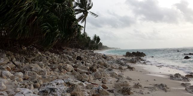 Dans le Pacifique « il y a une conscience très forte du changement climatique »