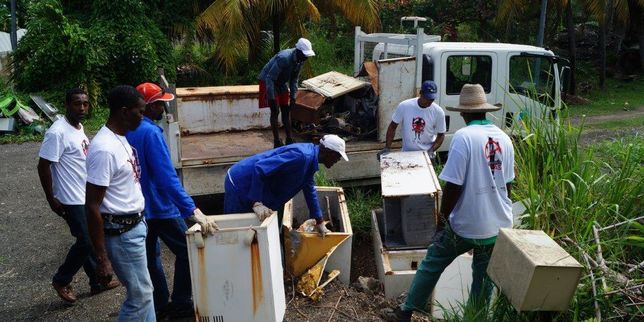 En Martinique, opération de « dézikage » pour lutter contre l’épidémie