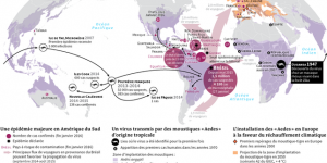 La mondialisation du virus Zika, de l’Afrique aux Amériques