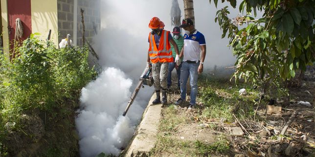 Virus Zika : l’OMS décrète « une urgence de santé publique de portée mondiale »