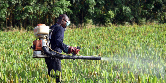 Roundup : le pesticide divise l’Union européenne et l’OMS