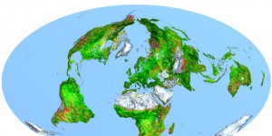 La Terre verdit grâce aux émissions de CO2