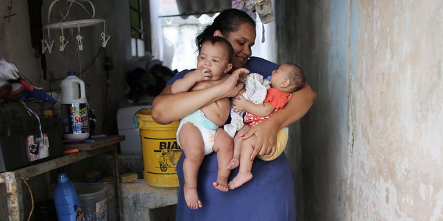 Au Brésil, le mystère des jumeaux infectés par Zika