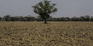 Climat : « Après El Niño, La Niña entrera en jeu à partir de juillet-août »