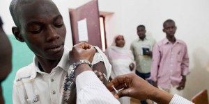 L’épidémie de fièvre jaune en Afrique n’est pas une urgence mondiale selon l’OMS