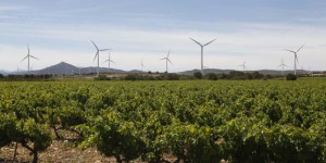 Les énergies vertes feraient gagner plus de 3 points de PIB à la France