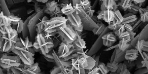 Des nanoparticules dans nos assiettes