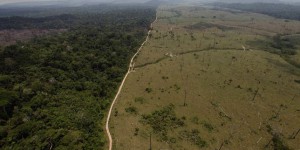 Nouvelle alerte sur l’état de santé de l’Amazonie
