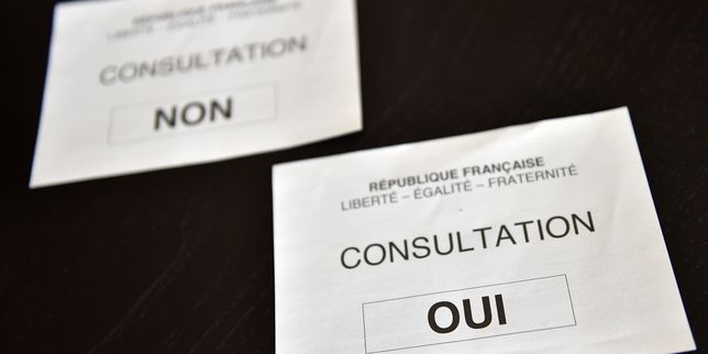 Référendum pour Notre-Dame-des-Landes : les premiers résultats tombent