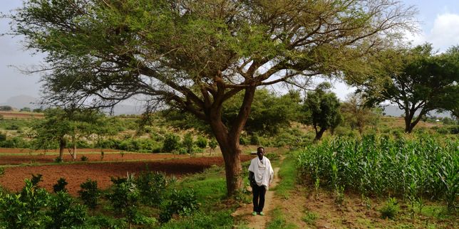 Le village éthiopien qui ne craint plus ni la sécheresse ni l’exode