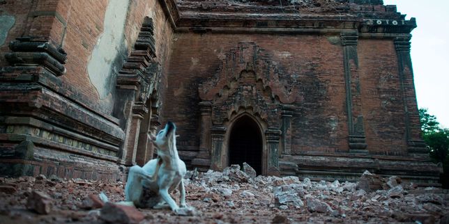 La Birmanie au chevet des pagodes de Bagan après le séisme