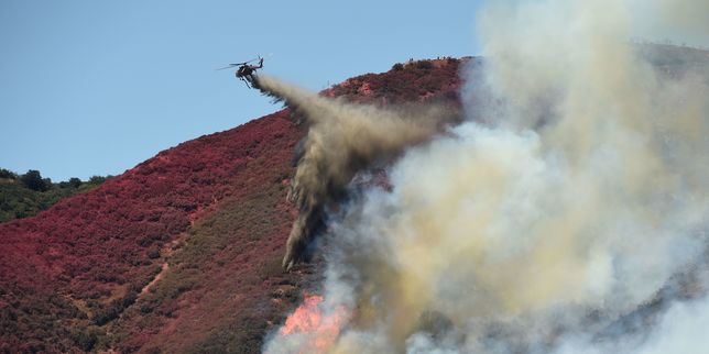 Californie : une hausse des feux de forêt monstres favorisée par la sécheresse