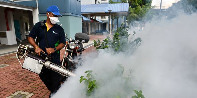 Zika : un tiers de l’humanité vit dans des zones à risque