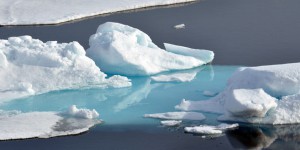 Climat : le nord perd sa glace
