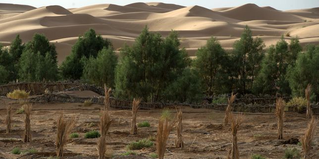 COP22 : les cinq travaux de Marrakech