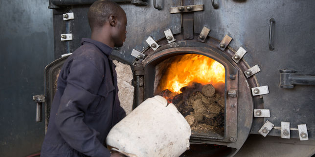 Au Kenya, des déchets des graines de café font tourner des usines