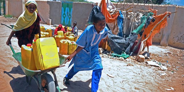 « Au Somaliland, les hôpitaux sont débordés d’enfants en situation de malnutrition sévère »