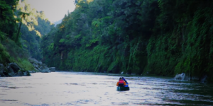 Pourquoi le Whanganui, fleuve sacré pour les Maoris, a été déclaré « entité vivante »