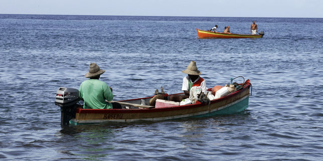 Les députés européens pourraient réintroduire des subventions à la construction de bateaux de pêche