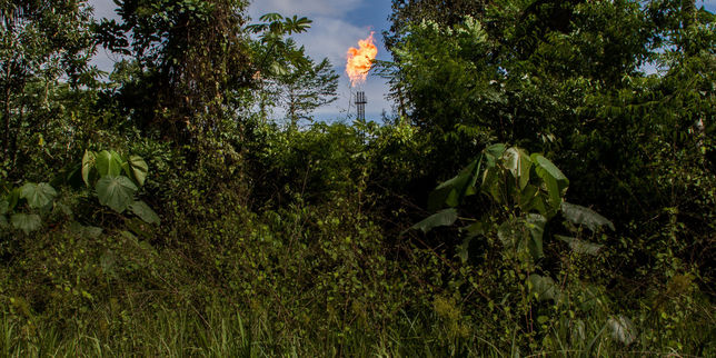 En Equateur, la tache indélébile du pétrole
