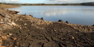 Les Côtes-d’Armor traversent « la plus grave sécheresse connue de leur histoire »