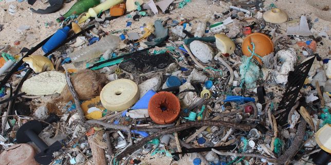 La plus grande densité de déchets en plastique du monde se trouve sur une île inhabitée