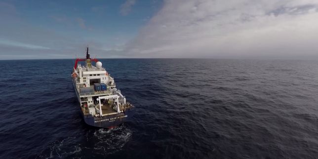 Mission océan Austral : cap vers le grand Sud