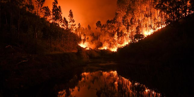 Au Portugal, un violent incendie fait plusieurs dizaines de morts