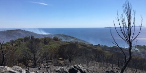 Une aide pour reconstruire les sites protégés du golfe de Saint-Tropez, après les incendies de juillet