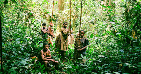Dans le bassin du Congo, les Pygmées sacrifiés sur l’autel de la protection de la nature