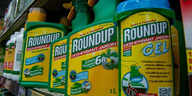 Pesticides : le Parlement européen vote en faveur de la disparition du glyphosate d’ici à 2022