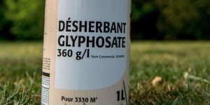 Renouvellement de la licence du glyphosate : Bruxelles décide de reporter le vote