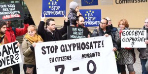 UE et glyphosate : ce qu’il faut retenir de la réunion des Etats membres