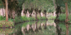 Marais poitevin : disputes pour 8 millions de mètres cubes d’eau