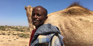 Au Somaliland, une sécheresse qui n’en finit pas