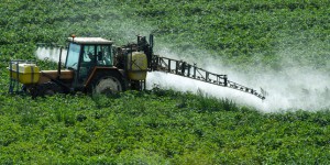 Discorde autour du rapport de la mission d’information sur les pesticides