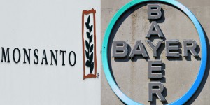 Bayer-Monsanto : un mariage, un enterrement, un boulet