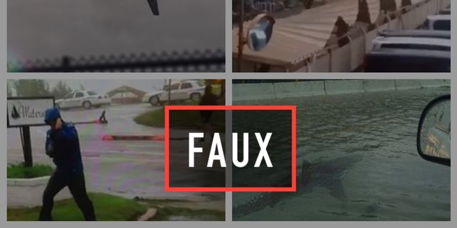 Rafales de canulars et vidéos détournées sur la tempête Florence et le typhon Mangkhut