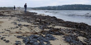 Après l’accident maritime au large de la Corse, le littoral du Var souillé par les hydrocarbures